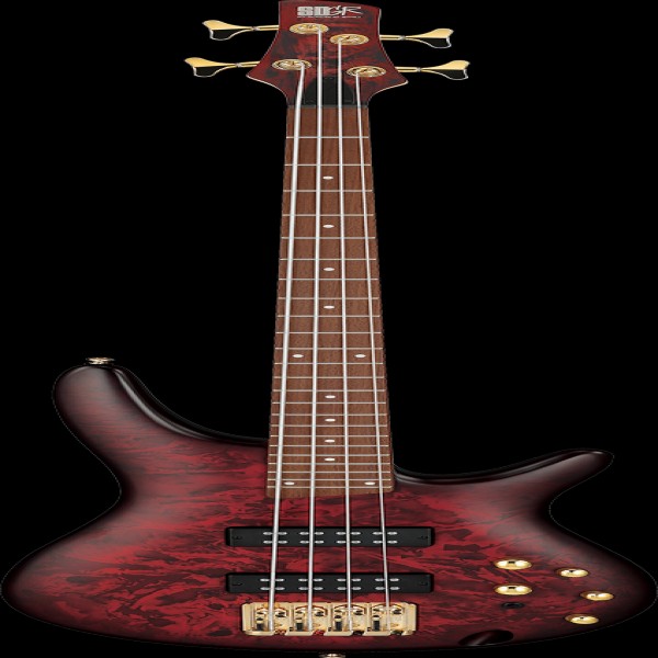 Ibanez SR300EDXWZM IBA EL BASS