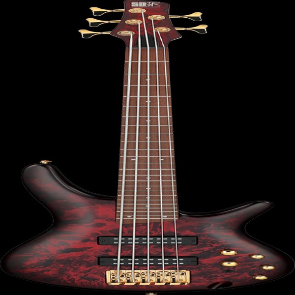 Ibanez SR305EDXWZM IBA EL BASS 5ST