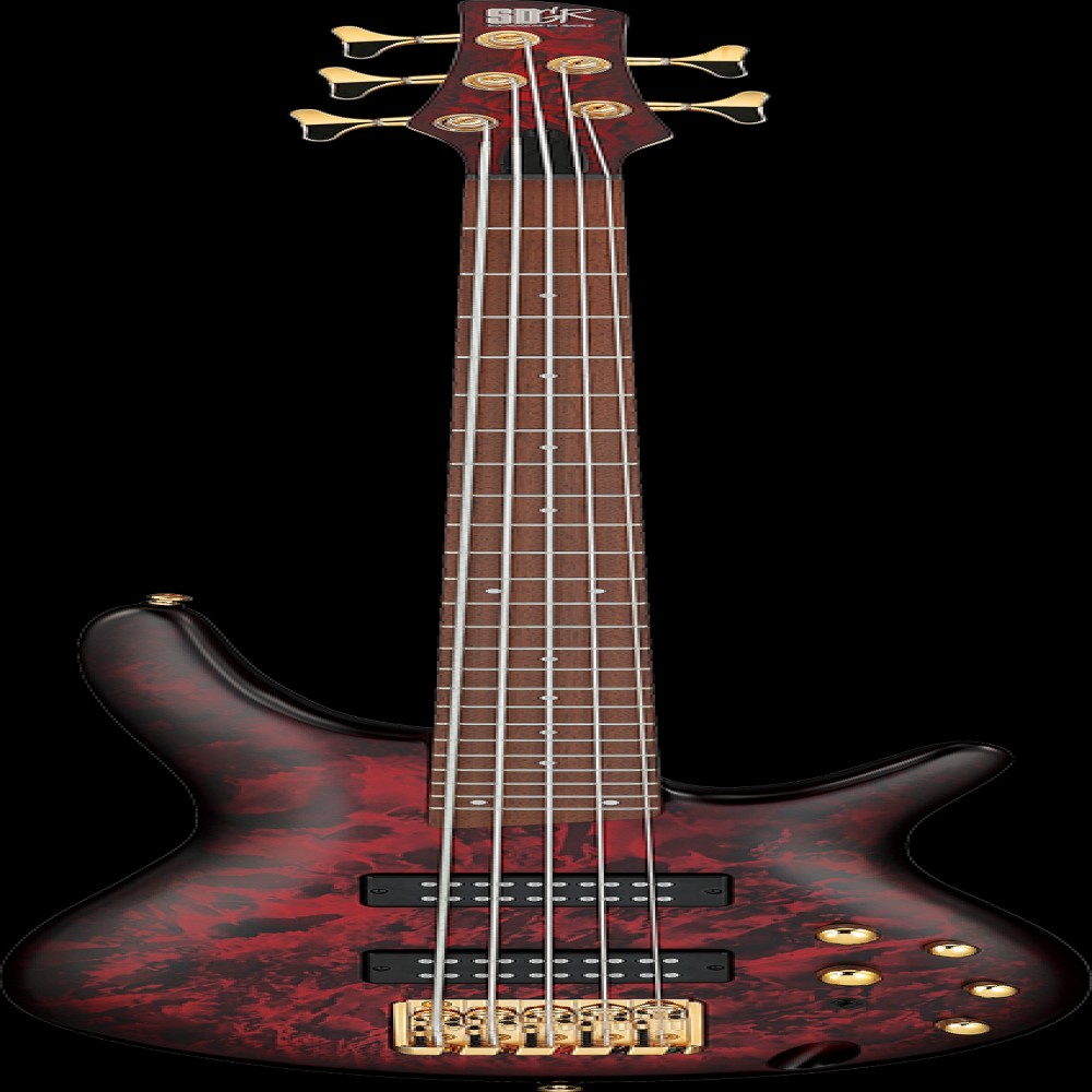 Ibanez SR305EDXWZM IBA EL BASS 5ST