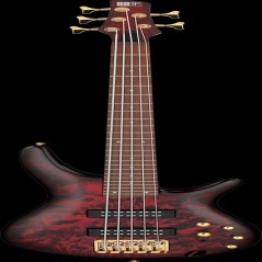 Ibanez SR305EDXWZM IBA EL BASS 5ST