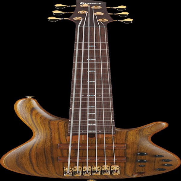 Ibanez SR5506MHF IBA EL BASS W/CASE 6ST