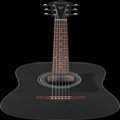 Ibanez V54NJPWK IBA AC GTR JAMPACK