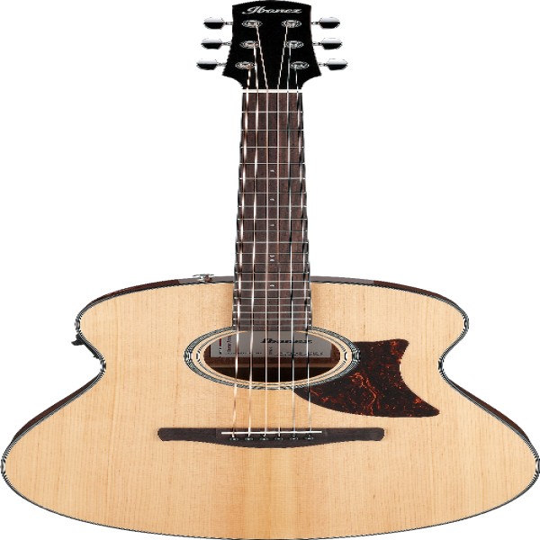 Ibanez AAM100ENT IBA EL AC GTR