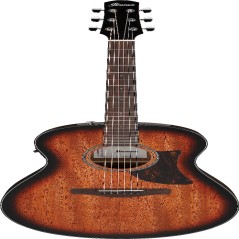 Ibanez AAM140EMHS IBA EL AC GTR