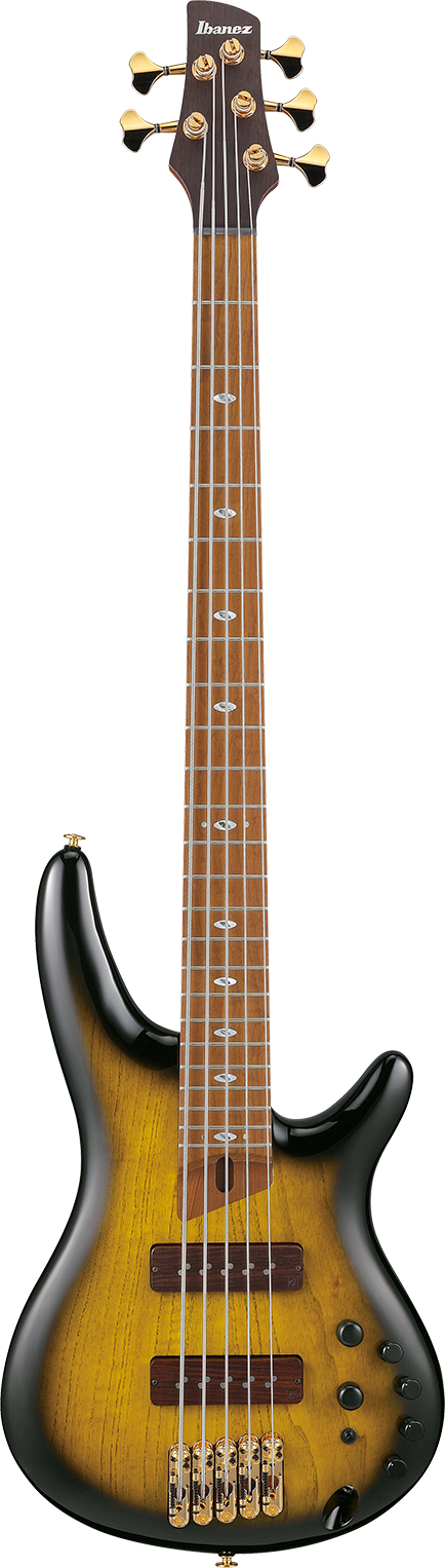 Ibanez SR4505DST IBA EL BASS W/CASE 5ST