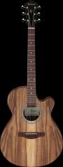 Ibanez VC40WSCEOPB IBA EL AC GTR