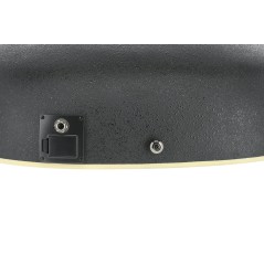Applause Chitarre elettroacustiche AE44II Mid Cutaway - CHITARRA ACUSTICA
