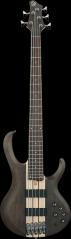 Ibanez BTB605TGF IBA EL BASS 5ST