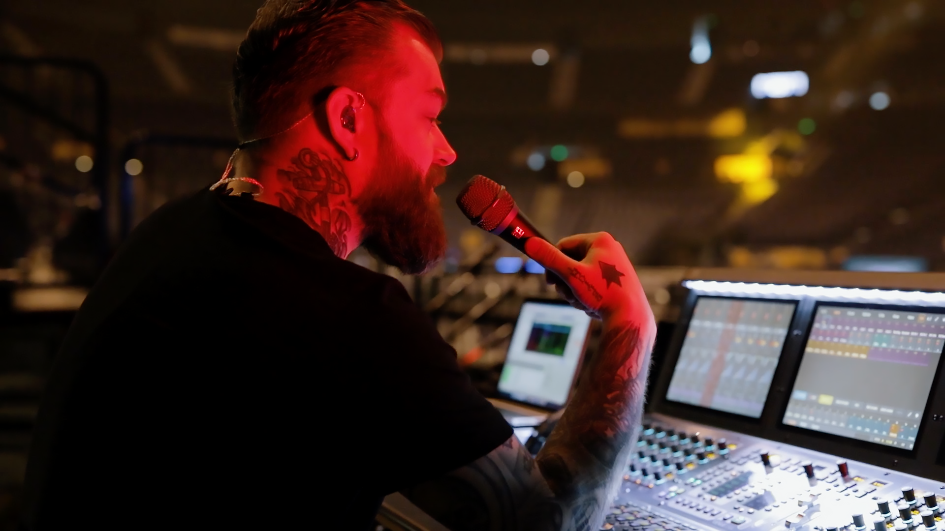 SE ELECTRONIC S V7 SWITCH