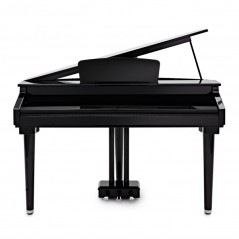 ECHORD GP-10 BK