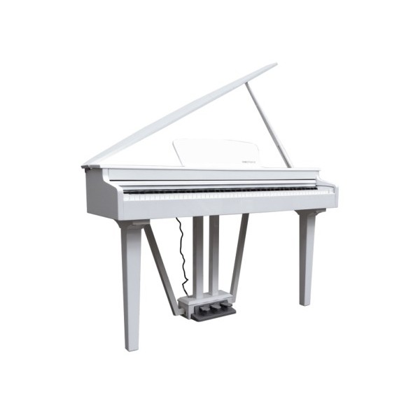 ECHORD GP-10 WHITE - CODINO