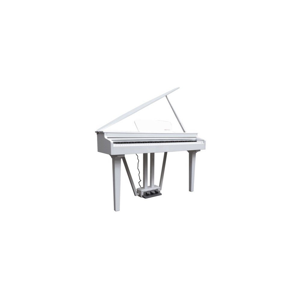 ECHORD GP-10 WHITE - CODINO