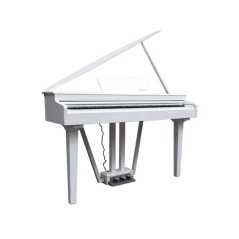ECHORD GP-10 WHITE - CODINO