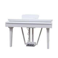 ECHORD GP-10 WHITE - CODINO