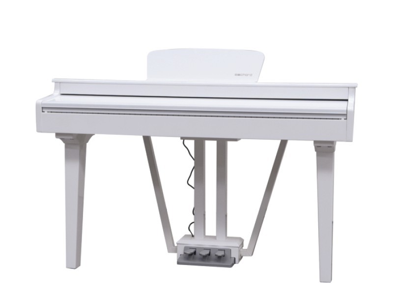 ECHORD Gp-10 White - Pianoforte digitale codino compatto