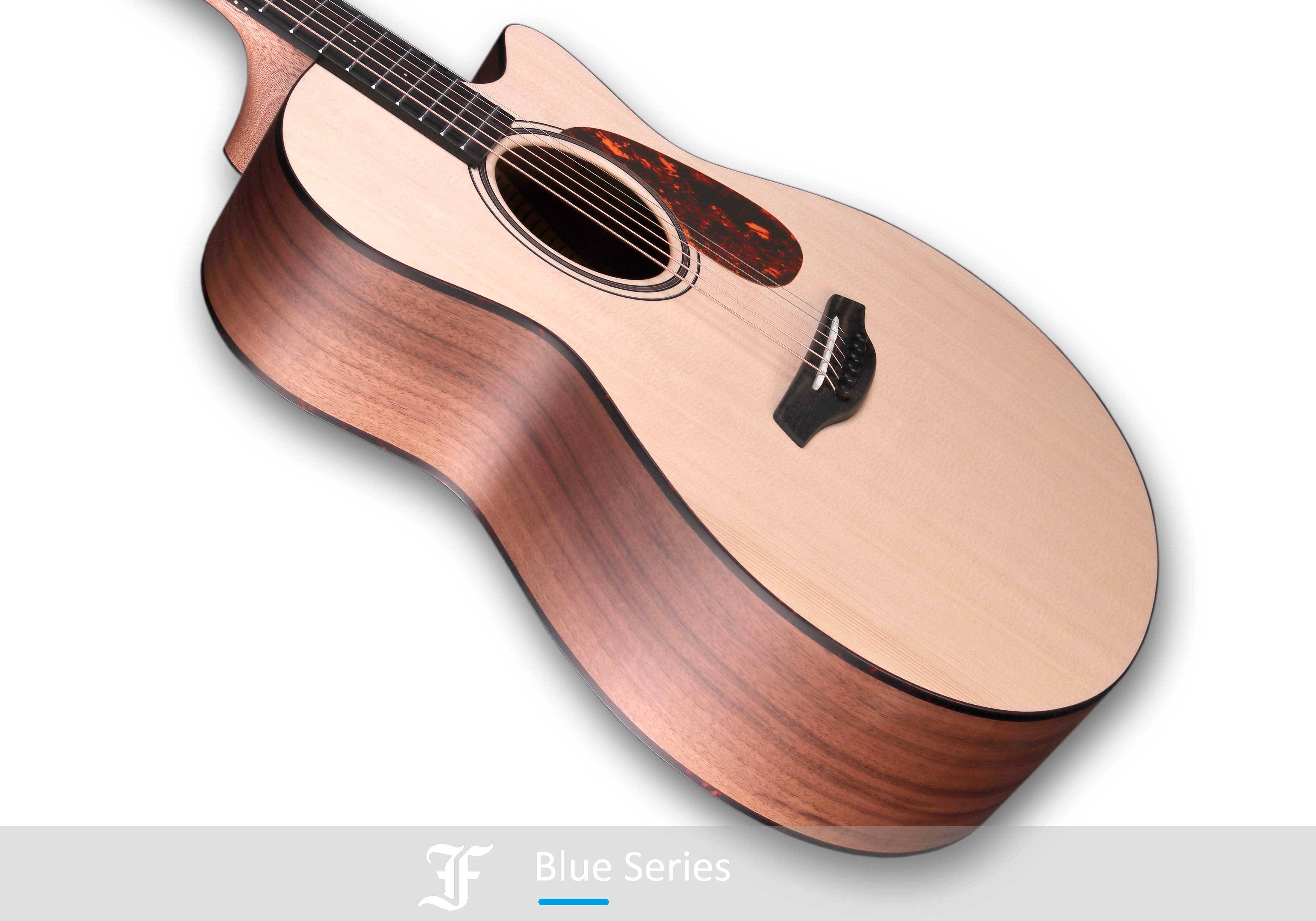 FURCH BLUE GC-SW VTC