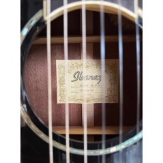 Ibanez AEG10NIIBK – Chitarra Classica Elettrificata Usata