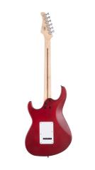 CORT G110 OPBC