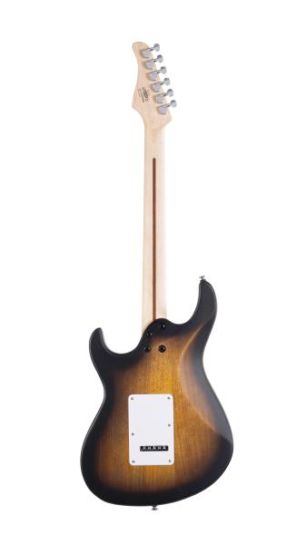 CORT G110 OPSB