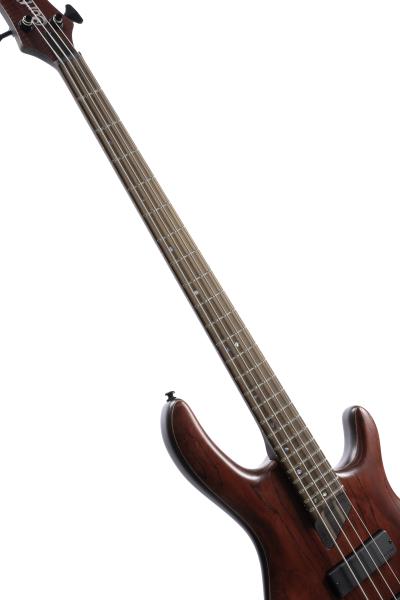 CORT B4 ELEMENT OPBR