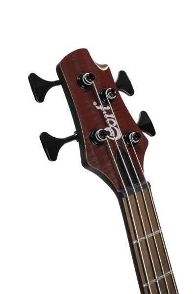 CORT B4 ELEMENT OPBR