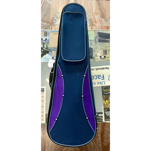 STENTOR STUDENT 1 4/4 VIOLINO