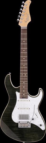 CORT G280 SELECT TBK