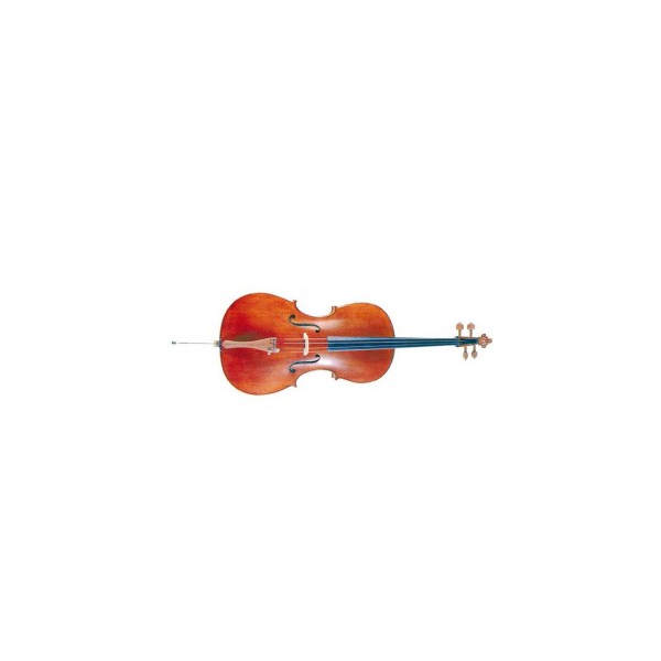 VIOLONCELLO DAM 3/4 MC760L34