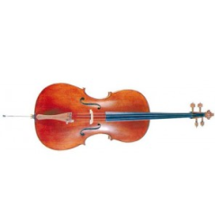 VIOLONCELLO DAM 3/4 MC760L34