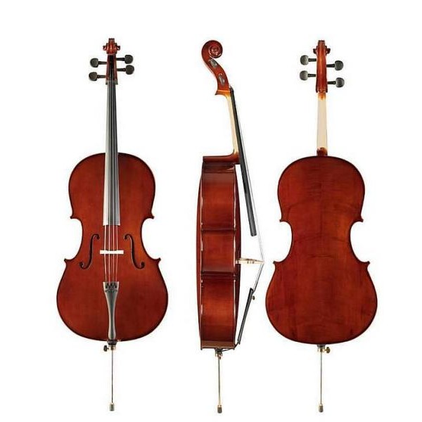 violoncello dam 4/4 MC100R44