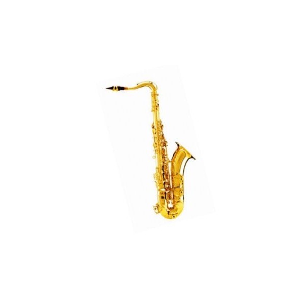 DAM DAS-90 Sax Alto completo di custodia
