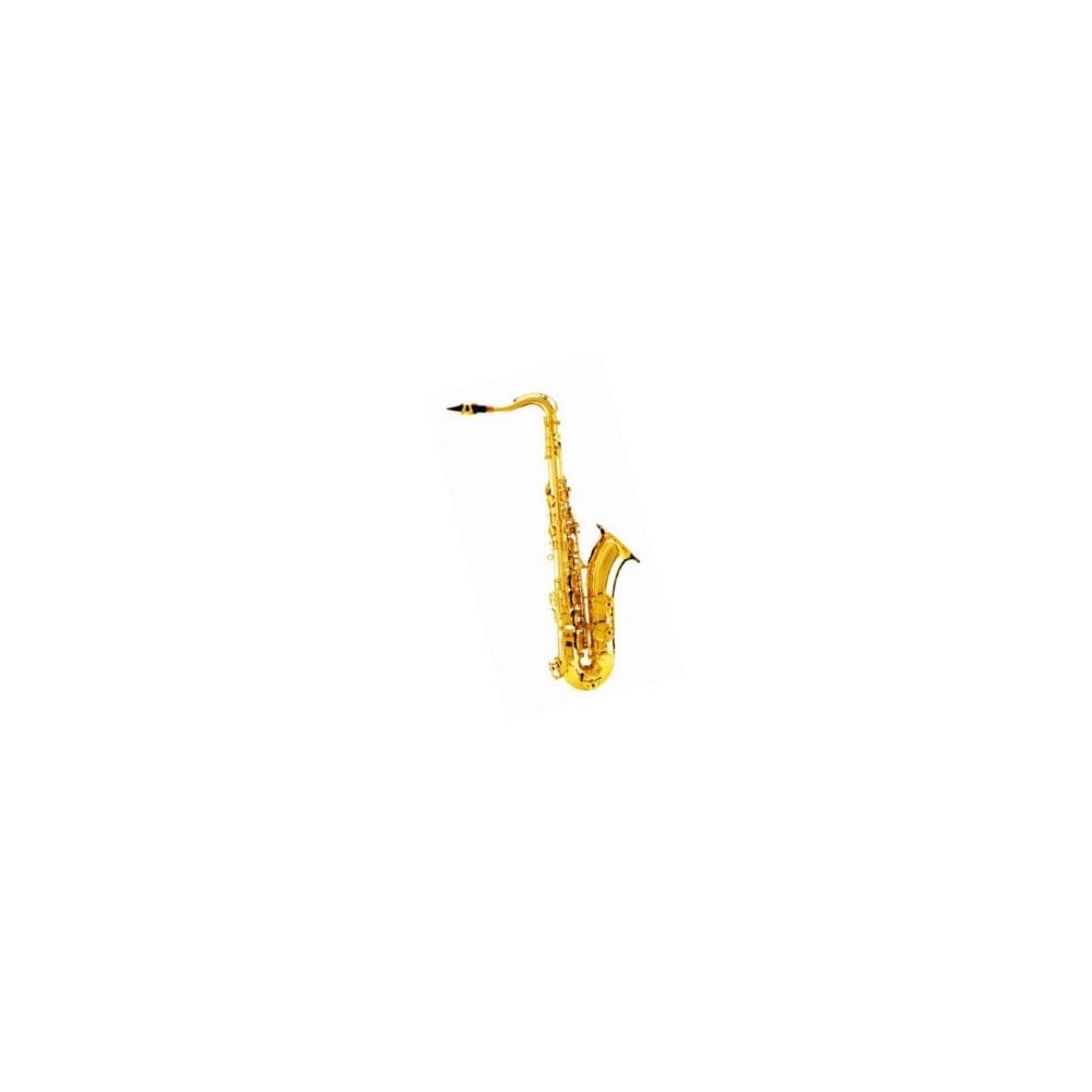 DAM DAS-90 Sax Alto completo di custodia