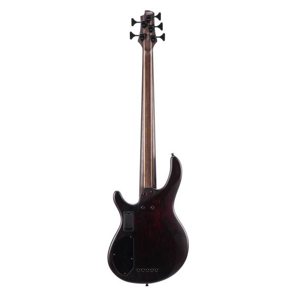 CORT B5 ELEMENT OPN