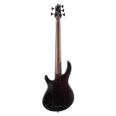 CORT B5 ELEMENT OPTB