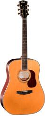 CORT GOLD-D8 NAT