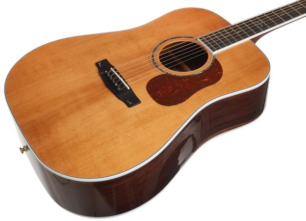 CORT GOLD-D8 NAT