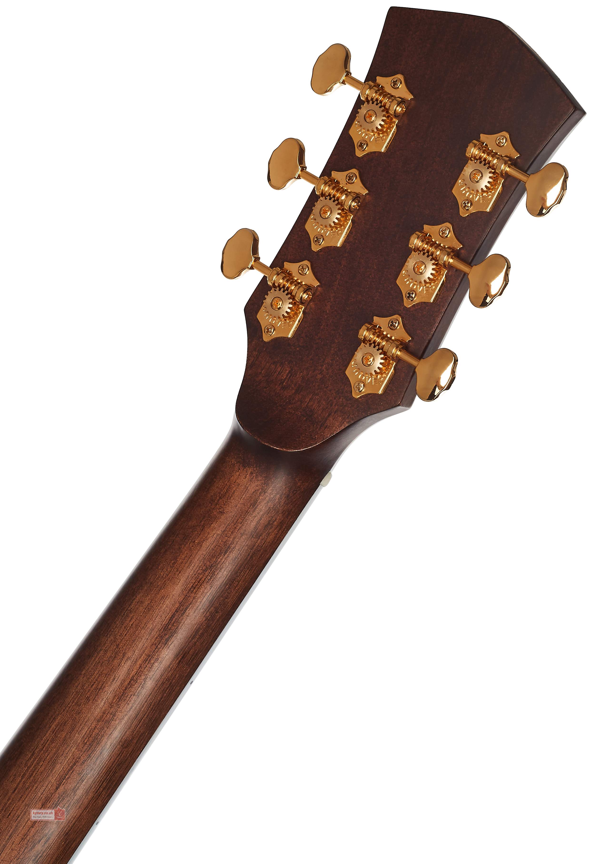 CORT GOLD-D8 NAT