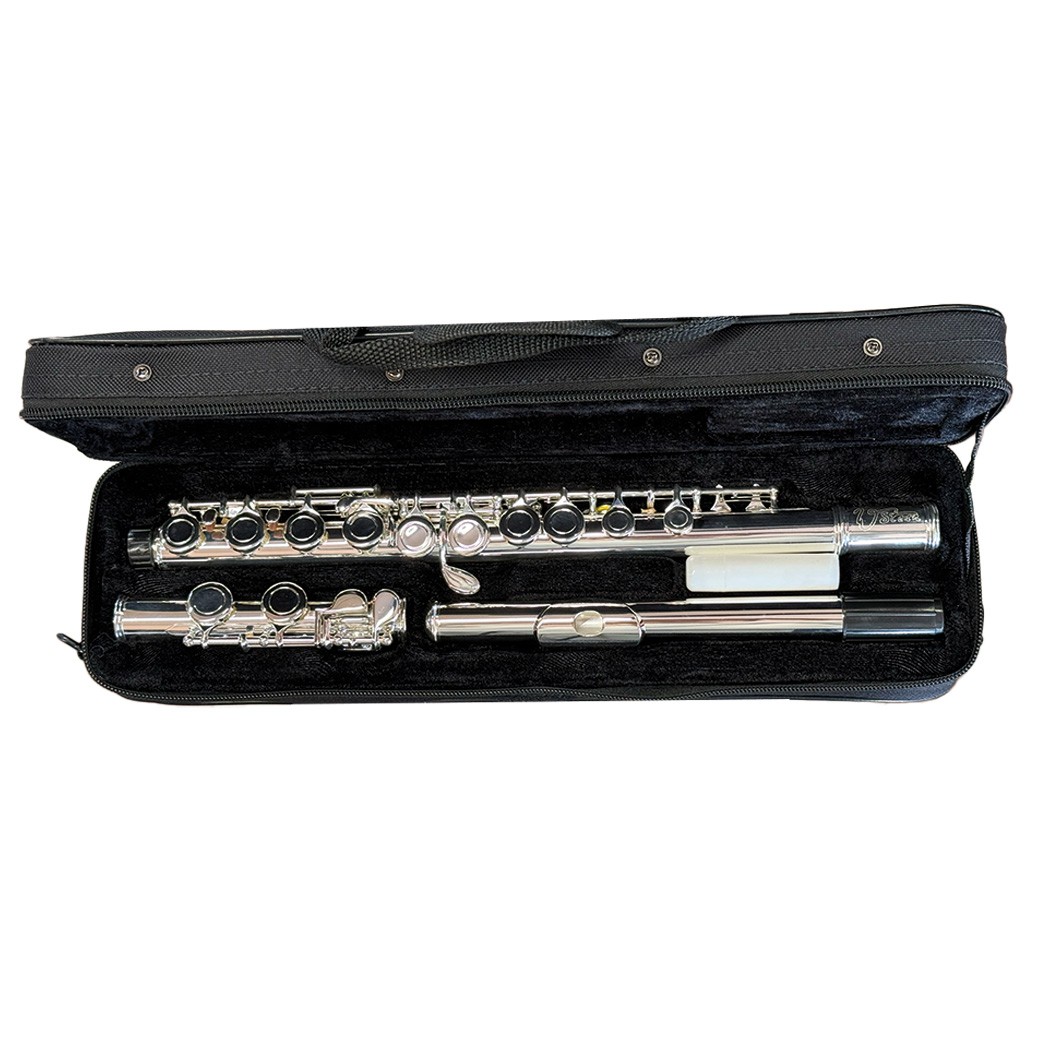 W. Stern flauto traverso silver con astuccio