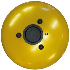 EXTREME STEEL TONGUE 13 TONI TAMBURO ARMONICO 27CM TANK DRUM 10″ GOLD