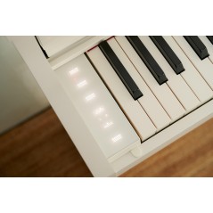 Casio AP-S450 Celviano White - PIANOFORTE DIGITALE 88 TASTI BIANCO