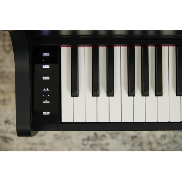 CASIO AP-300 BK Celviano: Pianoforte Digitale 88 Tasti Hammer Action Nero