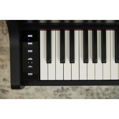 CASIO AP-300 BK Celviano: Pianoforte Digitale 88 Tasti Hammer Action Nero