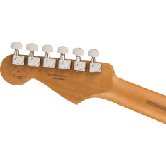 Fender Limited Edition Player Stratocaster, Pau Ferro Fingerboard, Black