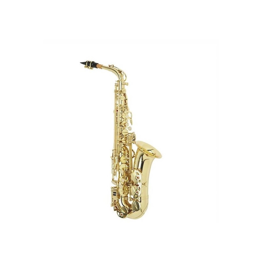 W. Stern WSSA30 Sax contralto laccato oro con astuccio
