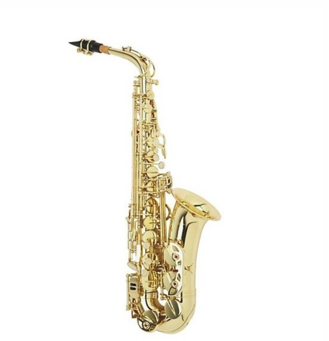 W. Stern WSSA30 Sax contralto laccato oro con astuccio