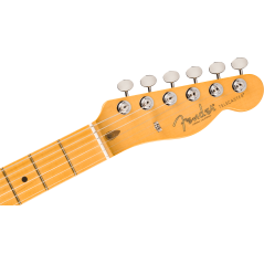 FENDER AMERICAN PROFESSIONAL CLASSIC TELECASTER MP - CHITARRA ELETTRICA BUTTERSCOTCH BLONDE