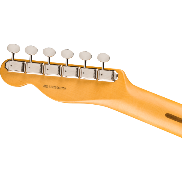 FENDER AMERICAN PROFESSIONAL CLASSIC TELECASTER MP - CHITARRA ELETTRICA BUTTERSCOTCH BLONDE