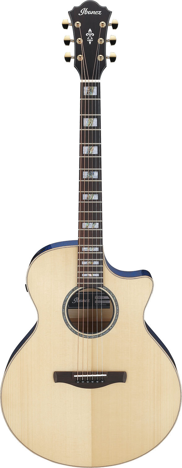 Ibanez AE390NTA IBA EL AC GTR