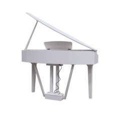 ECHORD Gp-10 White - Pianoforte digitale codino compatto
