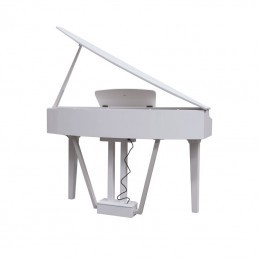 ECHORD Gp-10 White - Pianoforte digitale codino compatto